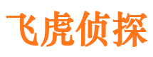 凤阳私家侦探公司